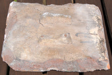 Load image into Gallery viewer, Timurid Cuerda Seca Pottery Tile