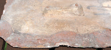 Load image into Gallery viewer, Timurid Cuerda Seca Pottery Tile